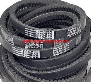 Dây curoa răng RECMF9770/ CX77 hiệu divbelt