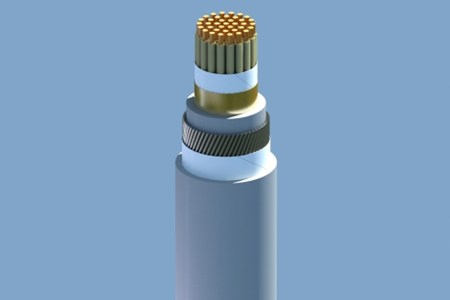 Click để xem hình đầy đủ DXV/SWA – 0,6/1 kV