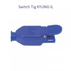 công tắc hàn tig